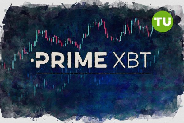 Finding Support How to Reach PrimeXBT Contacts